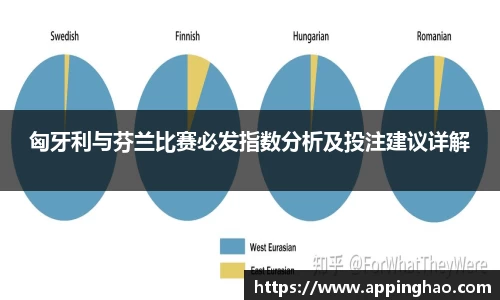 匈牙利与芬兰比赛必发指数分析及投注建议详解